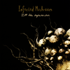 Infected Mushroom - IM the Supervisor
